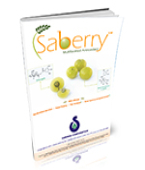 Saberry™: ORAC Dense Phytonutrient™