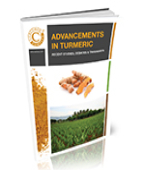 Advancements in Turmeric: Recent Studies, Debates & Takeaways